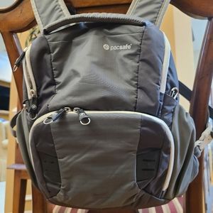 pacsafe anti-theft camera travel bag